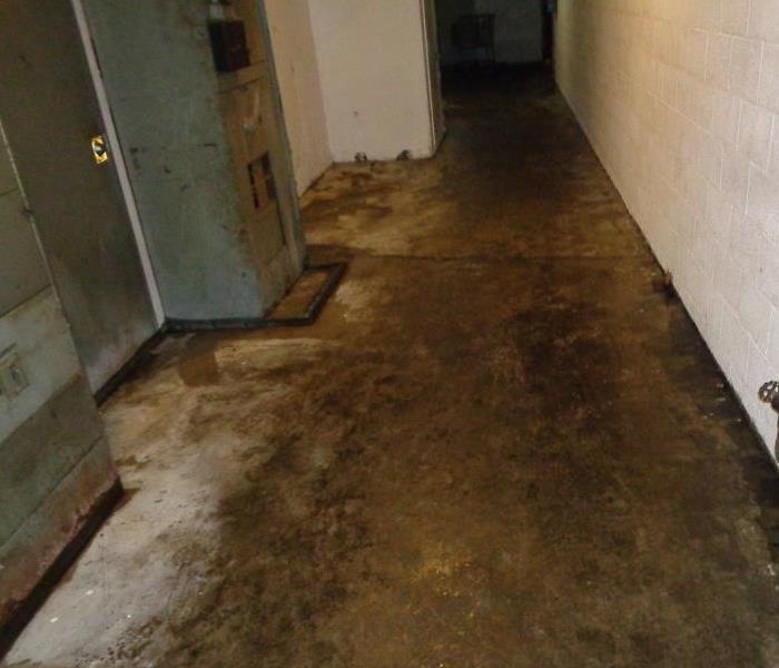 water damage,  sewage cleanup, antioch ca 