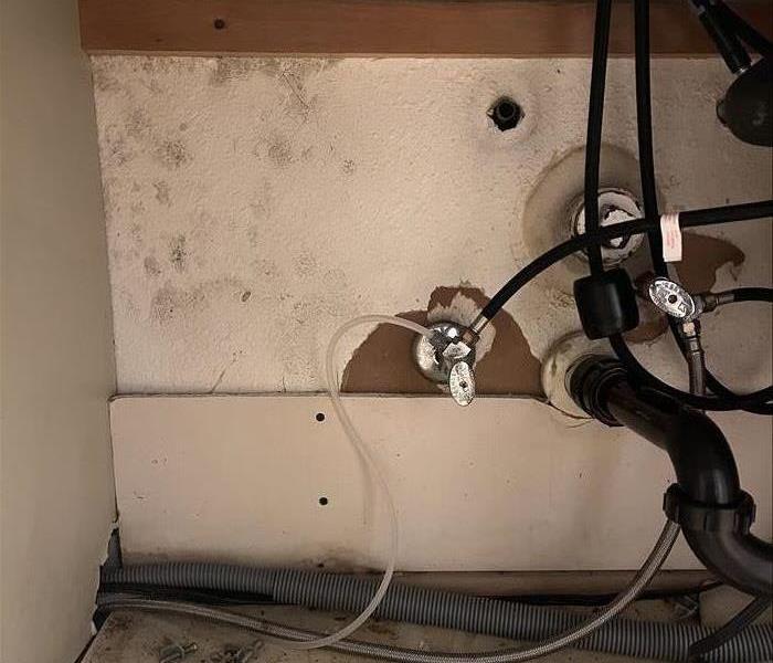 mold under sink 