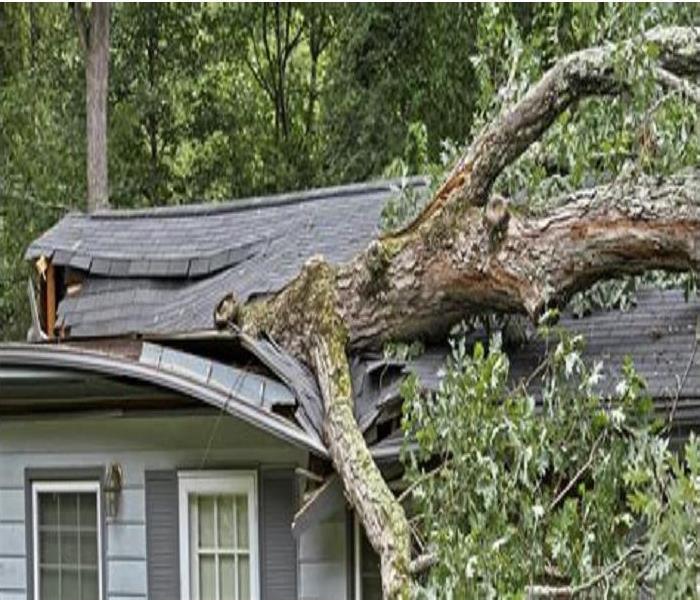 roof damaged by tree in a storm 